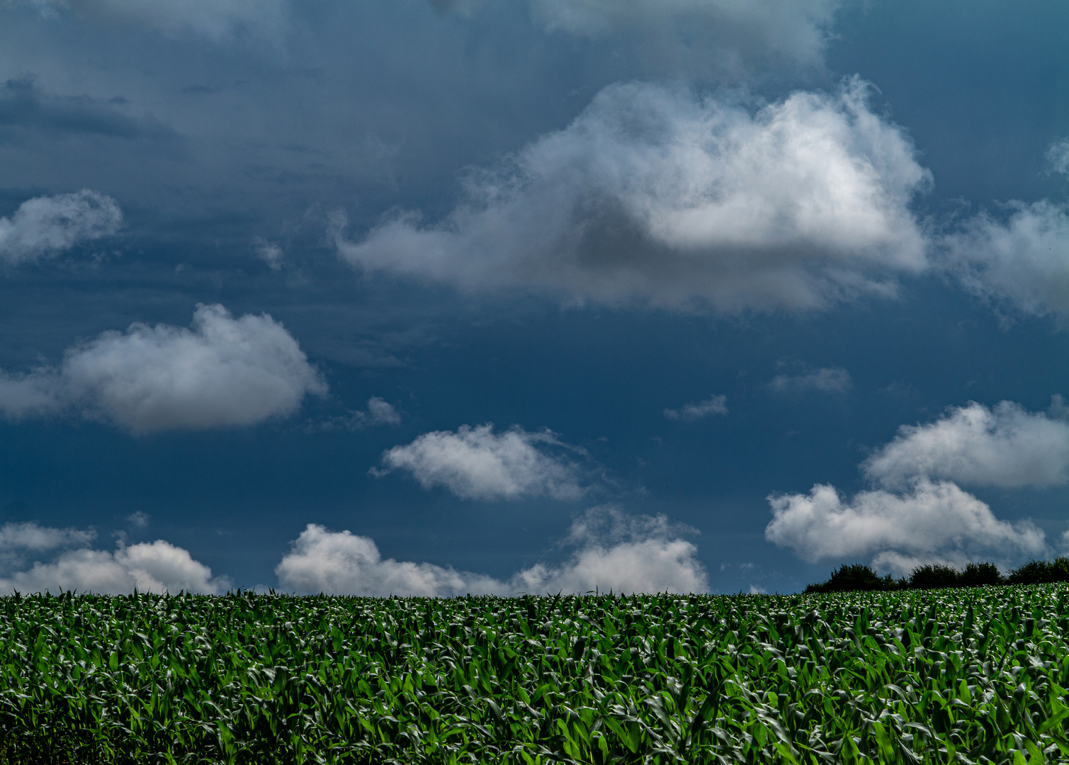 Aus der Wetterküche