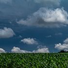 Aus der Wetterküche