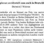 Aus der Zeitschrift HETEROPTERON Heft 23 / 2006