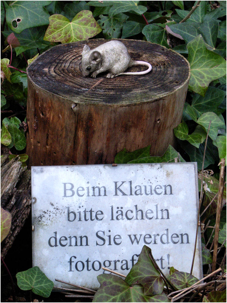 ... aus die Maus