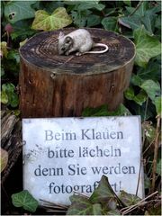 ... aus die Maus