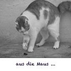 aus die Maus ...