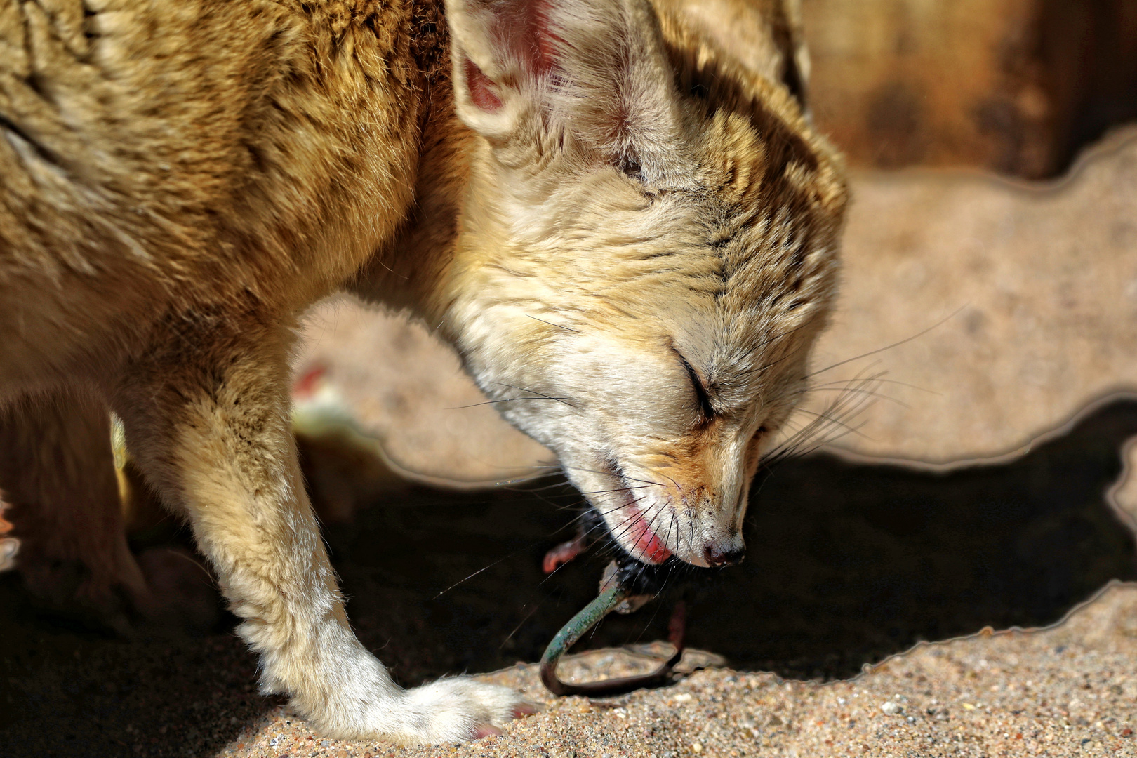 aus die Maus :-)