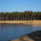 aus diesem Waldboden wird der Sand und Kies gewonnen