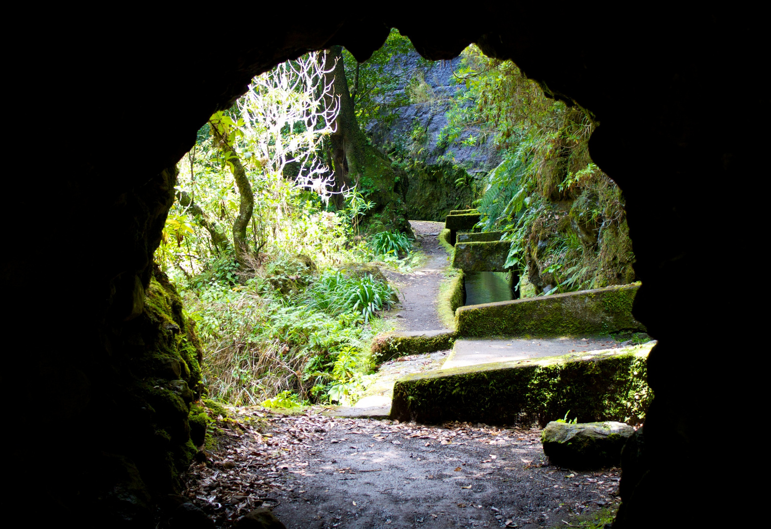 Aus einen Levadatunnel in Madeira