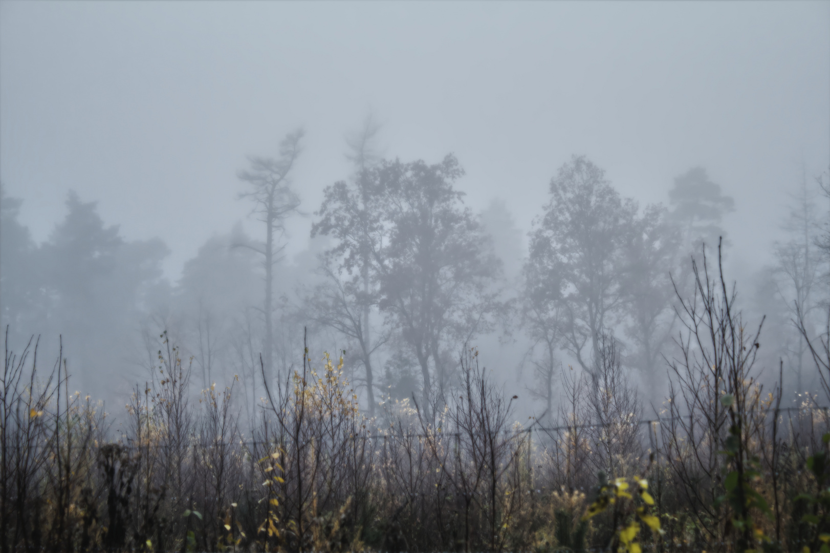 Aus farbig wird grau