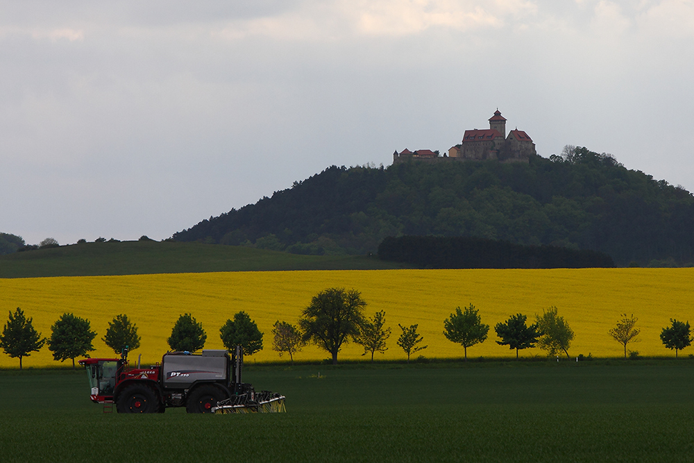 Aus grün mach gelb