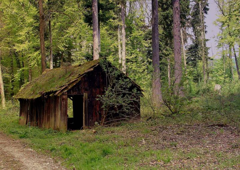 Aus Hänsel und Gretel...