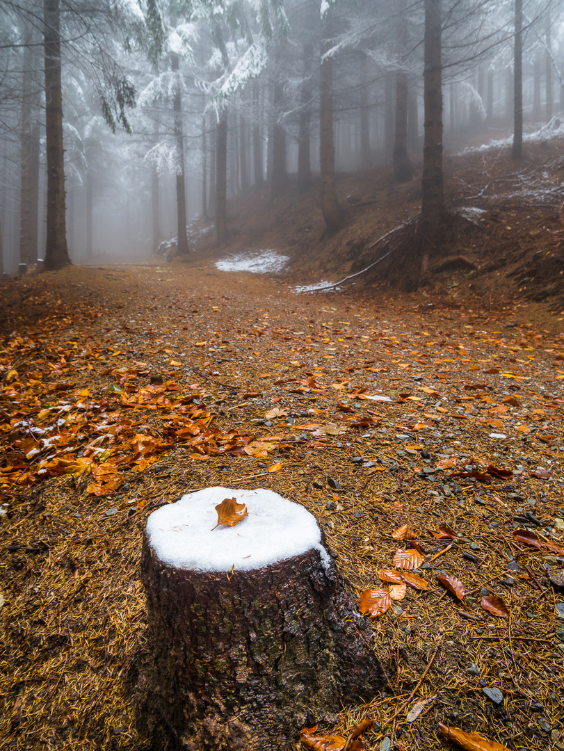 Aus Herbst wird Winter