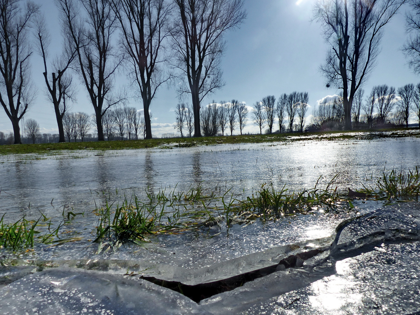 Aus Hochwasser wurde eine Eislandschaft