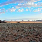 Aus in der Nähe des Sperrgebiet NP; Südliches Namibia