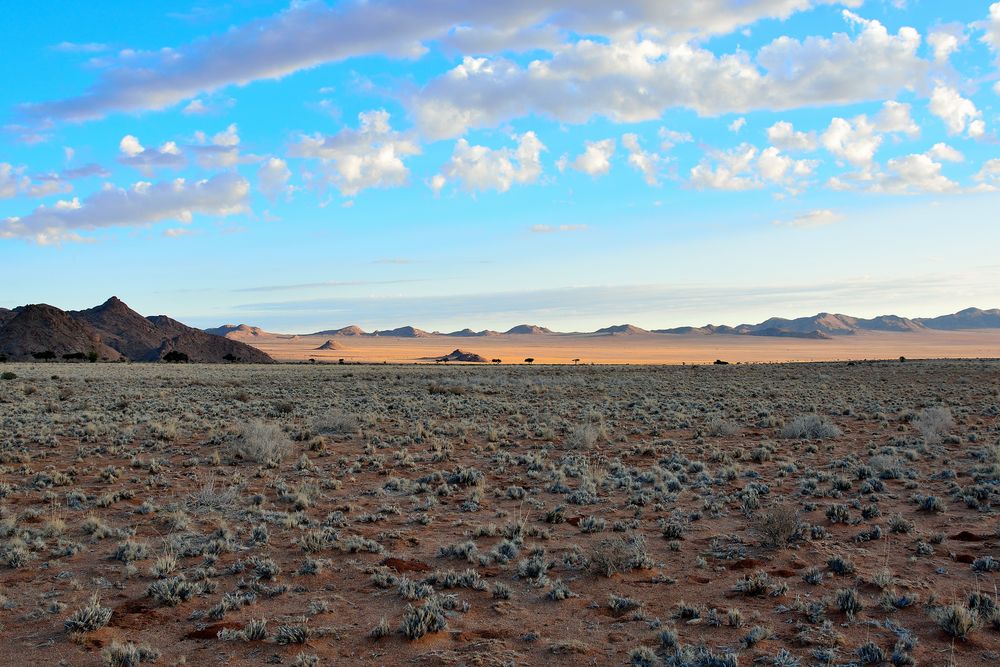 Aus in der Nähe des Sperrgebiet NP; Südliches Namibia