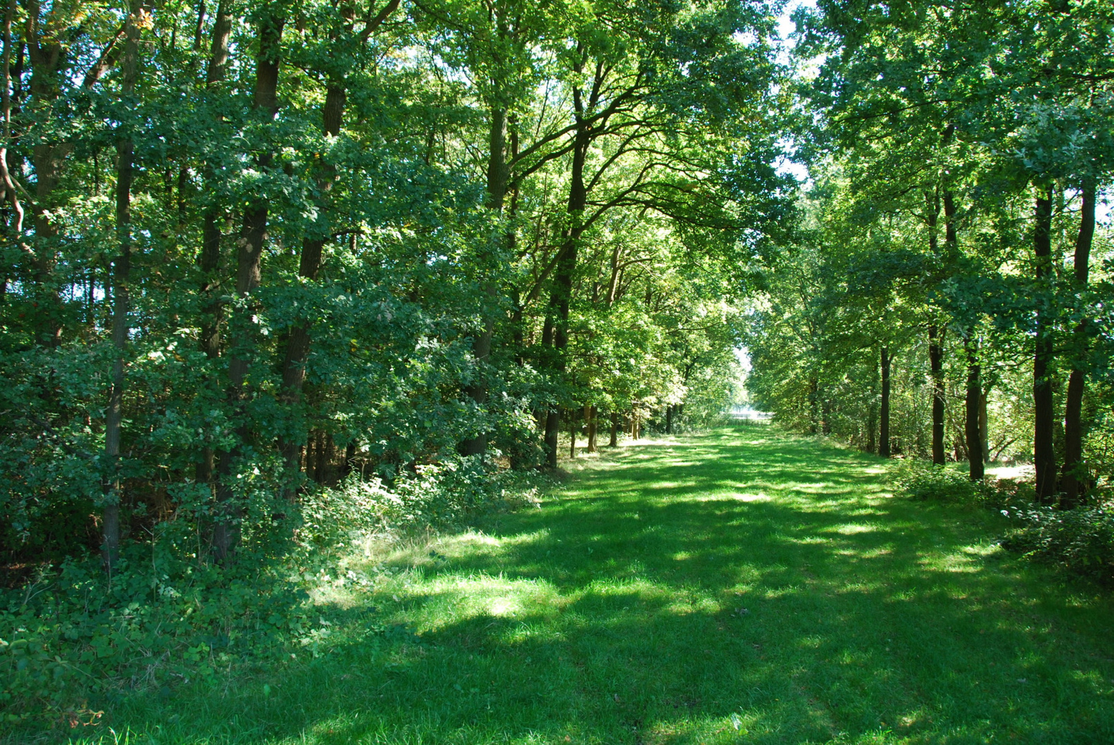 Aus Landstraße L68 wird Naturschutzgebiet