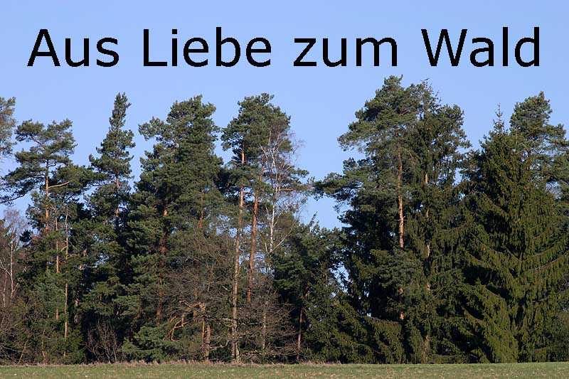 Aus Liebe zum Wald