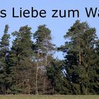 Aus Liebe zum Wald