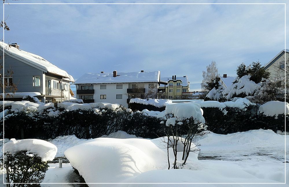 Aus meinem Fenster    05.12.23