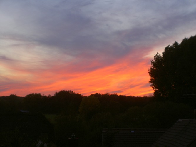 Aus meinem Fenster