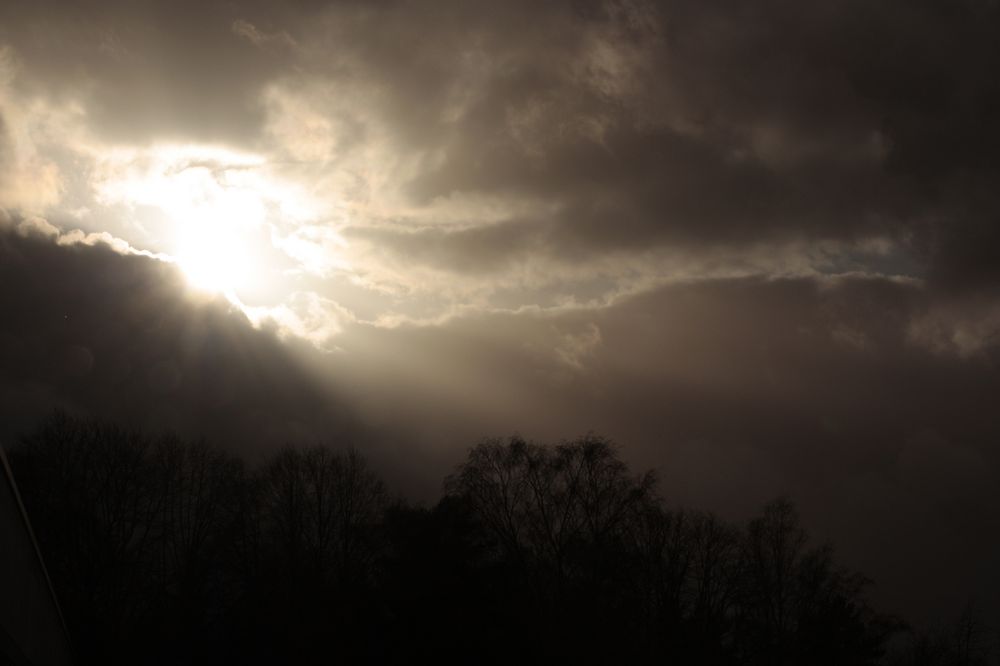 Aus meinem Fenster