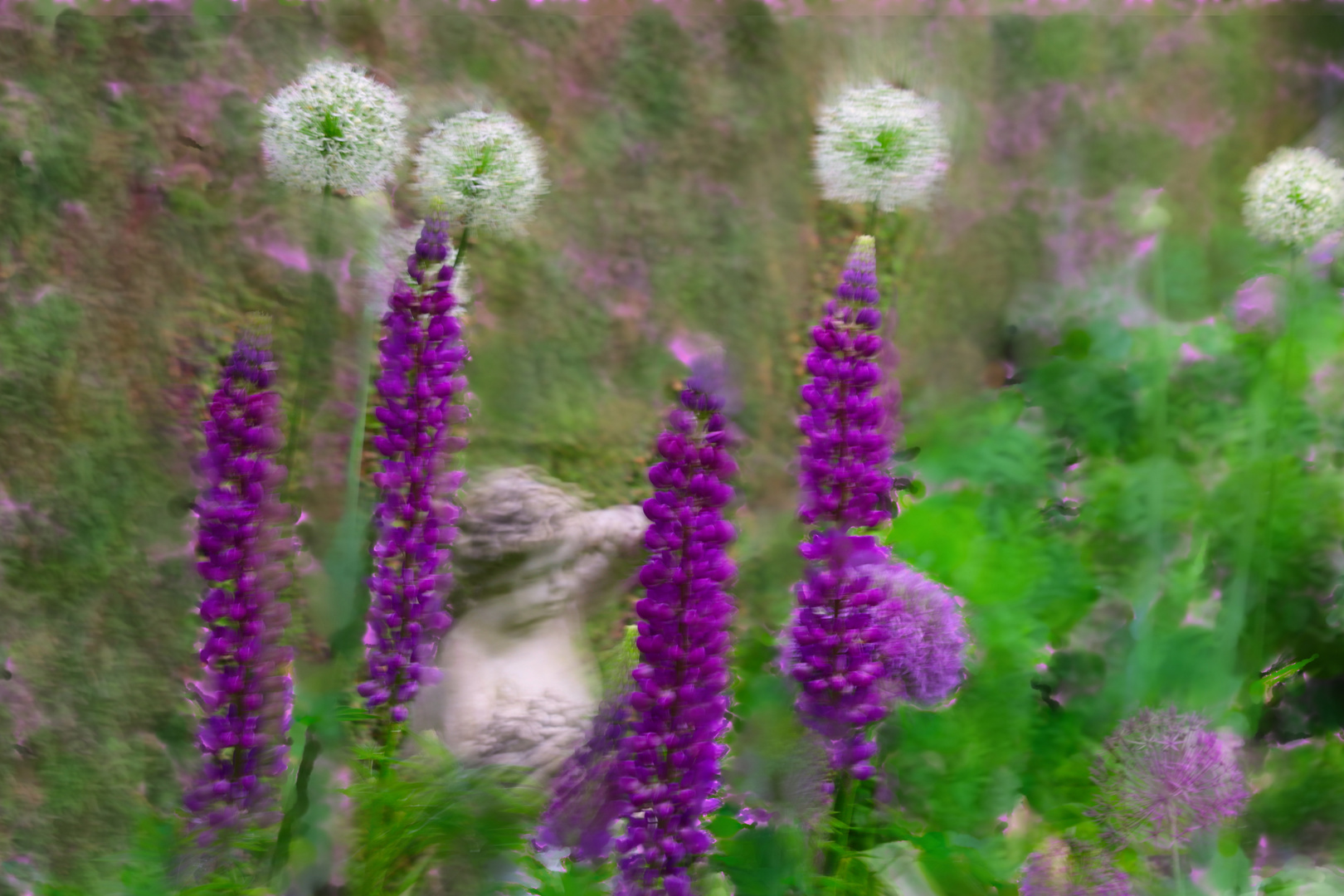 Aus meinem Garten