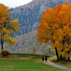 Aus meiner Heimat eine Herbstimpression