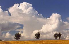 aus meiner Wolkensammlung