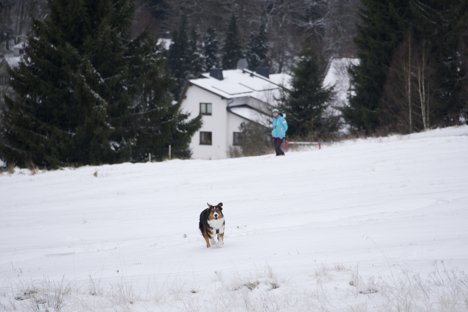 Aus Powern im Schnee