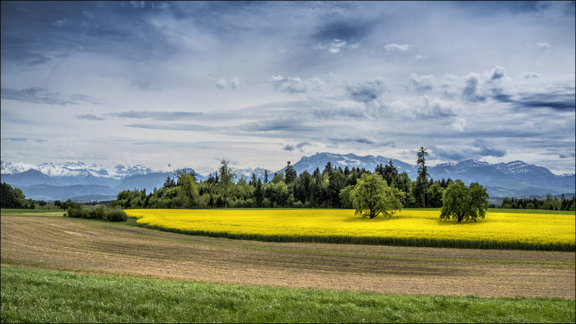 Aus purer Freude an der Natur entstand diese Bild!