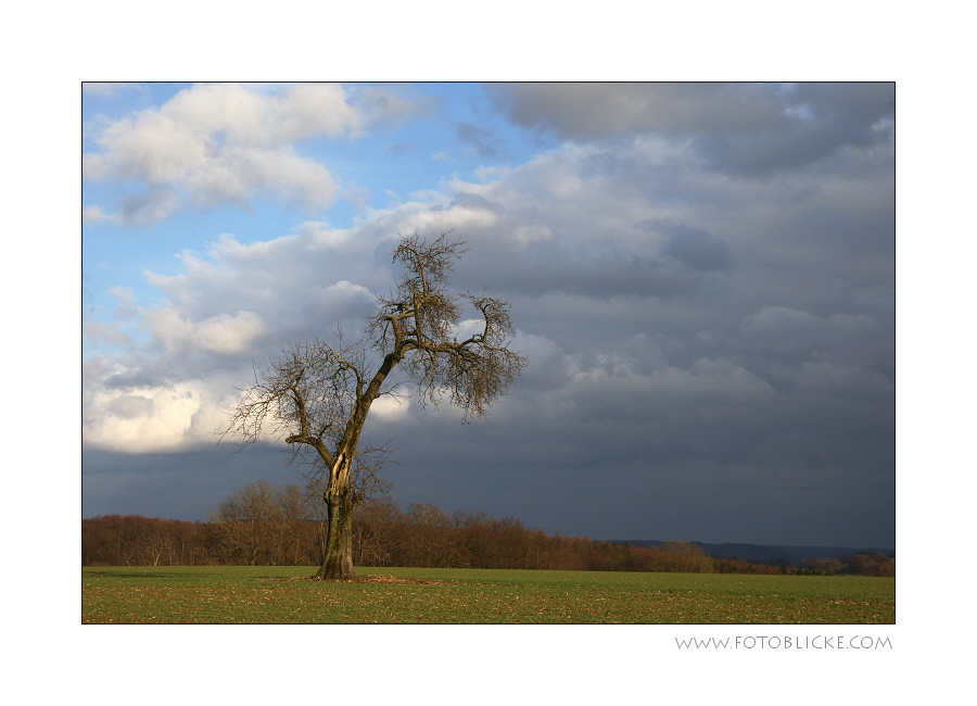 Aus Sichten