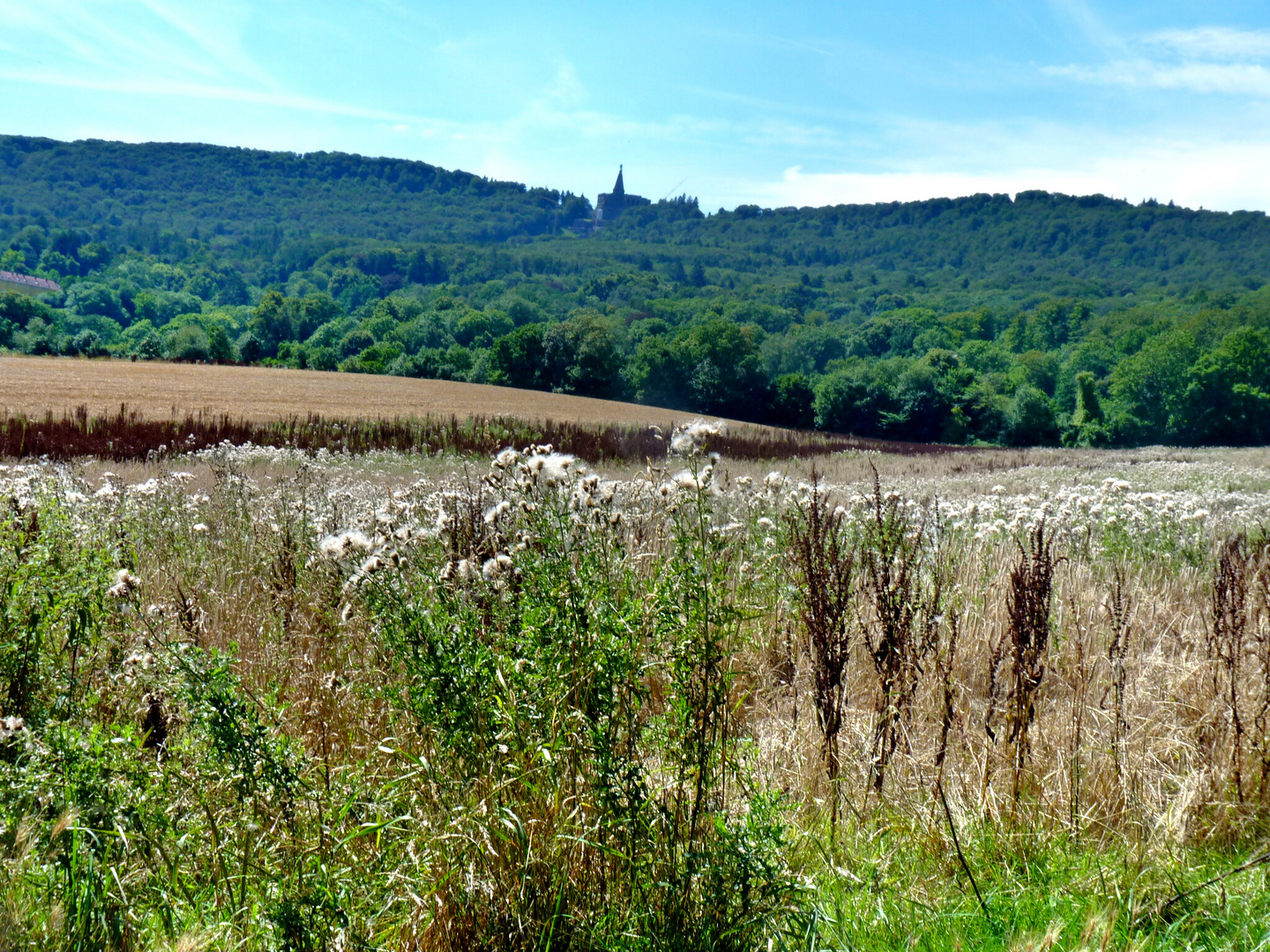 Aus Sommertagen... 