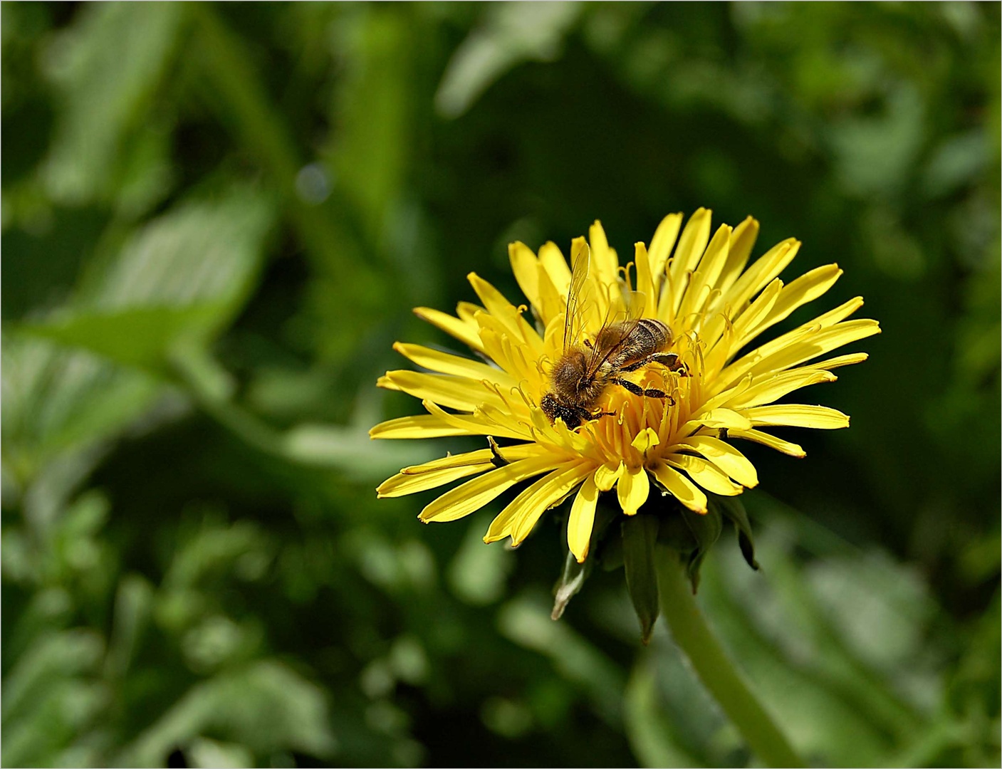 aus Sommertagen