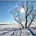 Aus vergangenen Tagen ,die Sonne lässt sich wieder einmal blicken 