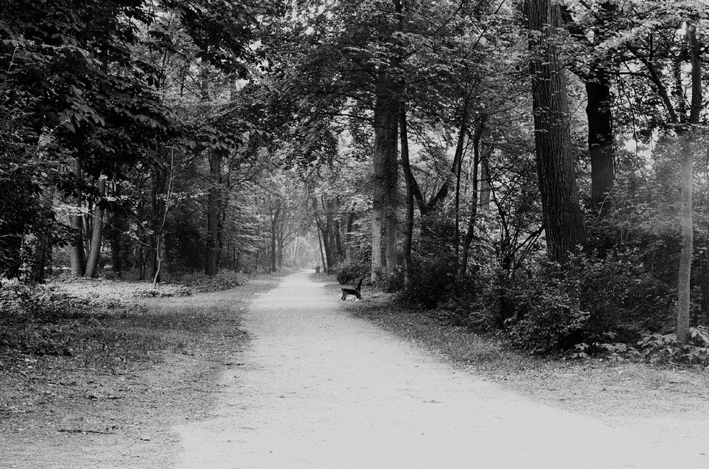 Aus-weg - Englischer Garten