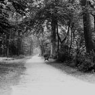 Aus-weg - Englischer Garten