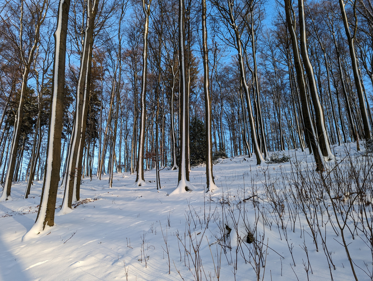 aus welcher Richtung kam der Schnee?