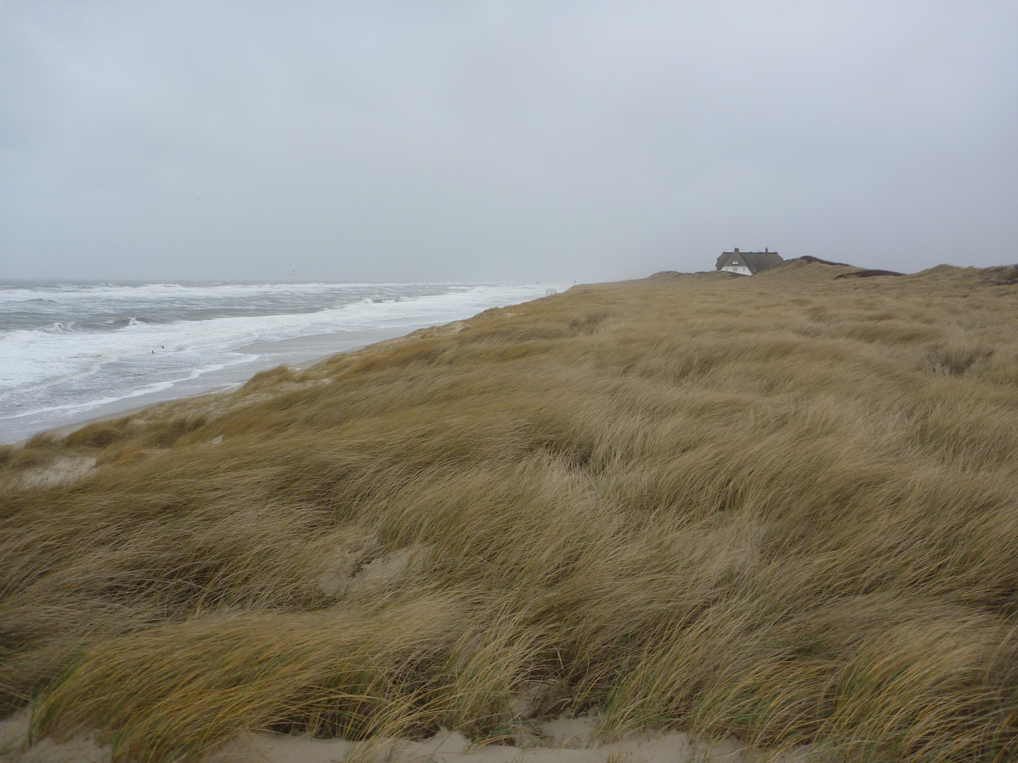 Aus Wind wird Sturm