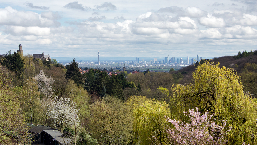 Ausblick