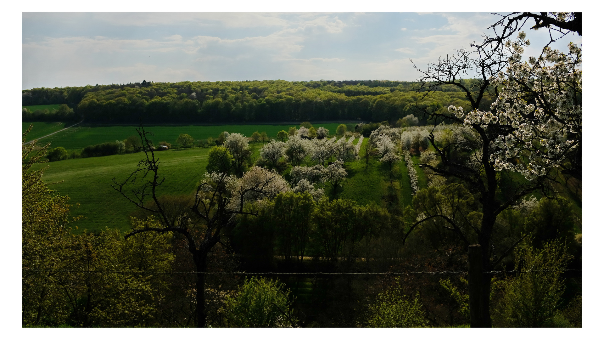 Ausblick