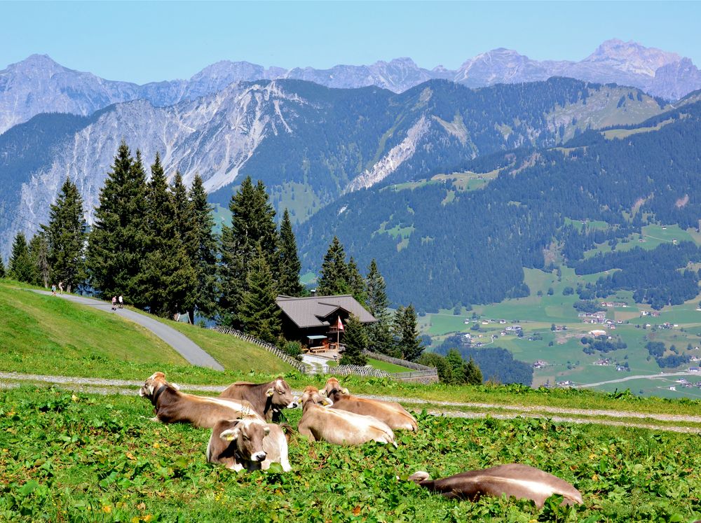 Ausblick 1 von der Mittelstation der Golmer Bahn (Gasthaus Matschwitz)…