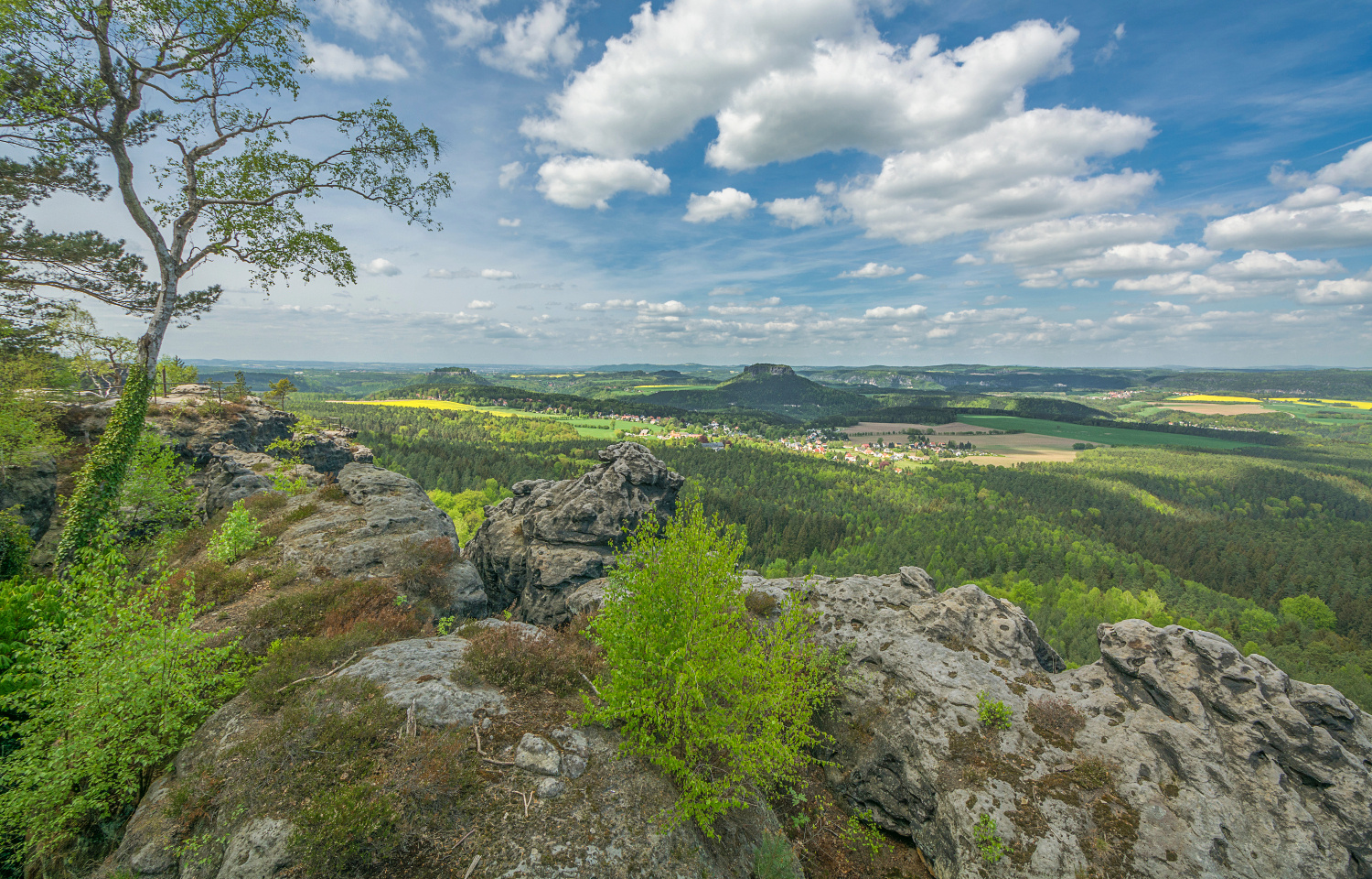 Ausblick