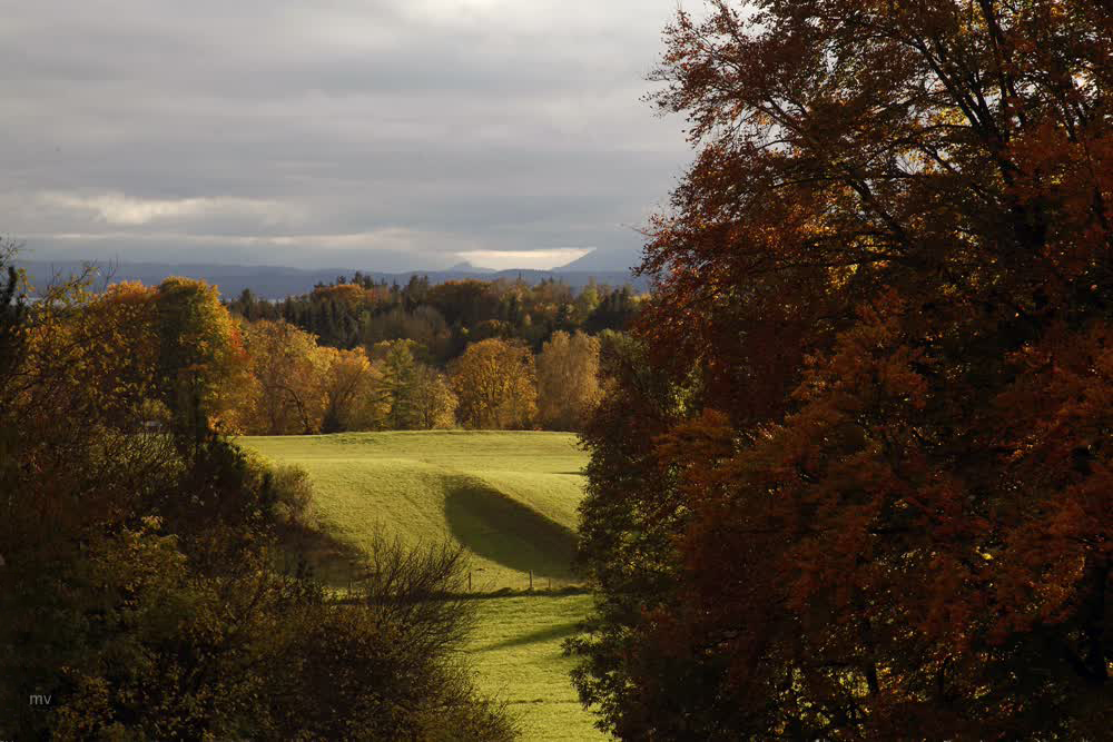 Ausblick