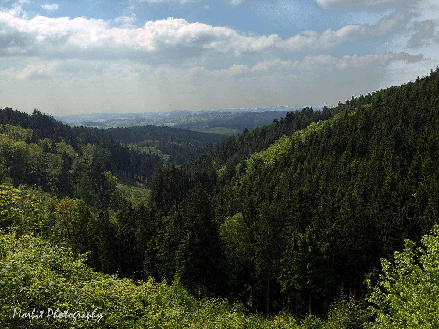 Ausblick