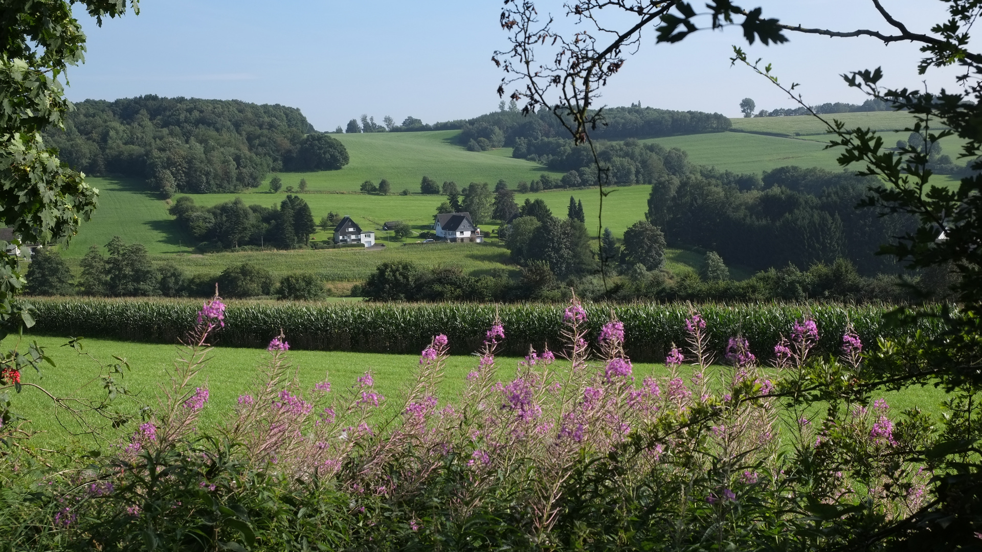 Ausblick