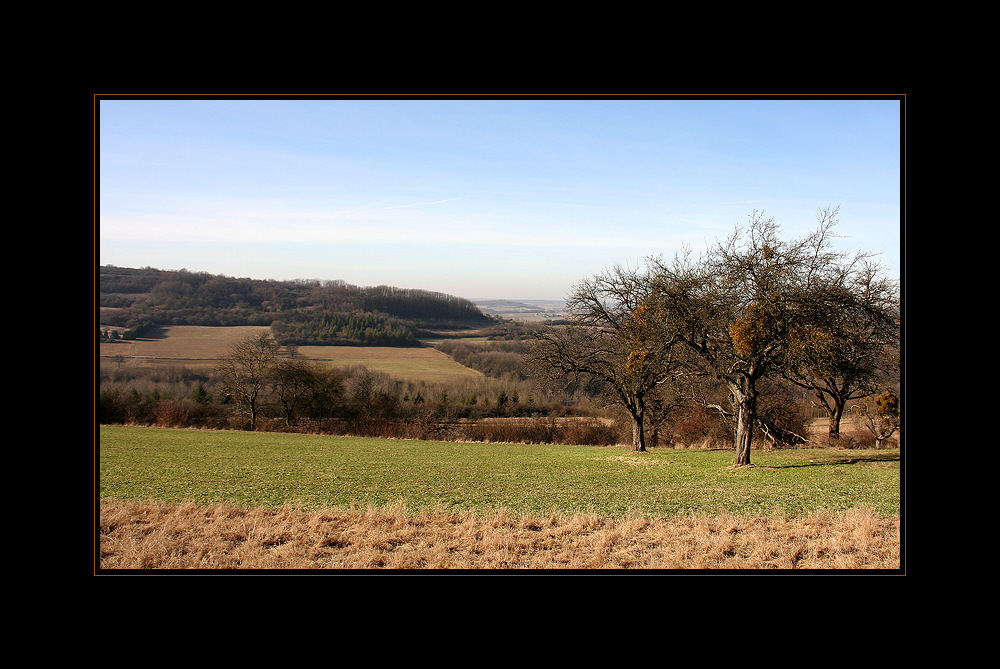 - Ausblick -