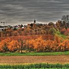 Ausblick