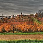 Ausblick