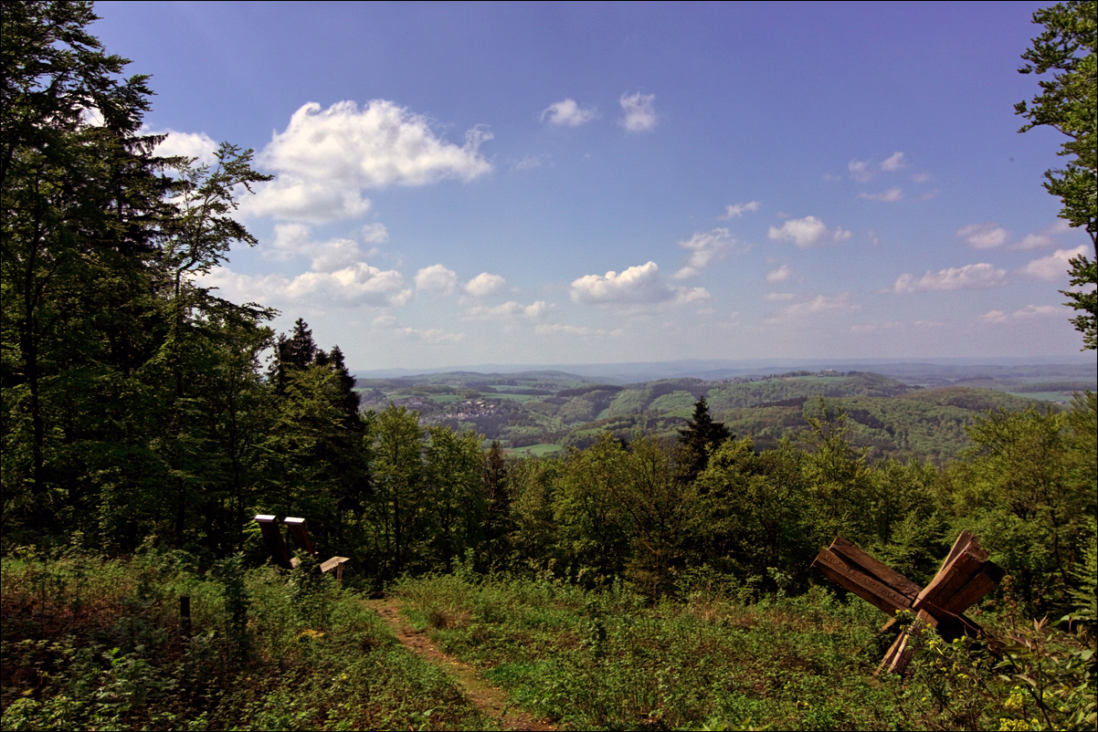 Ausblick