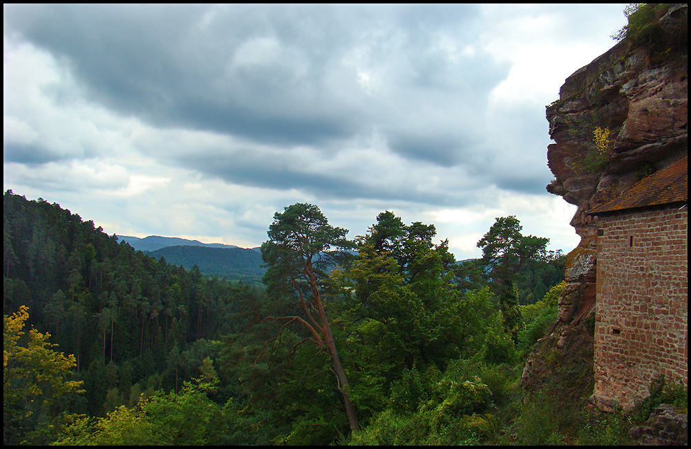 Ausblick