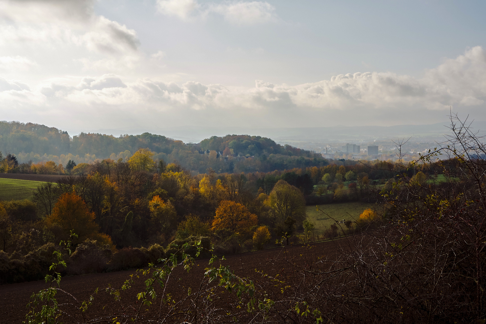 Ausblick