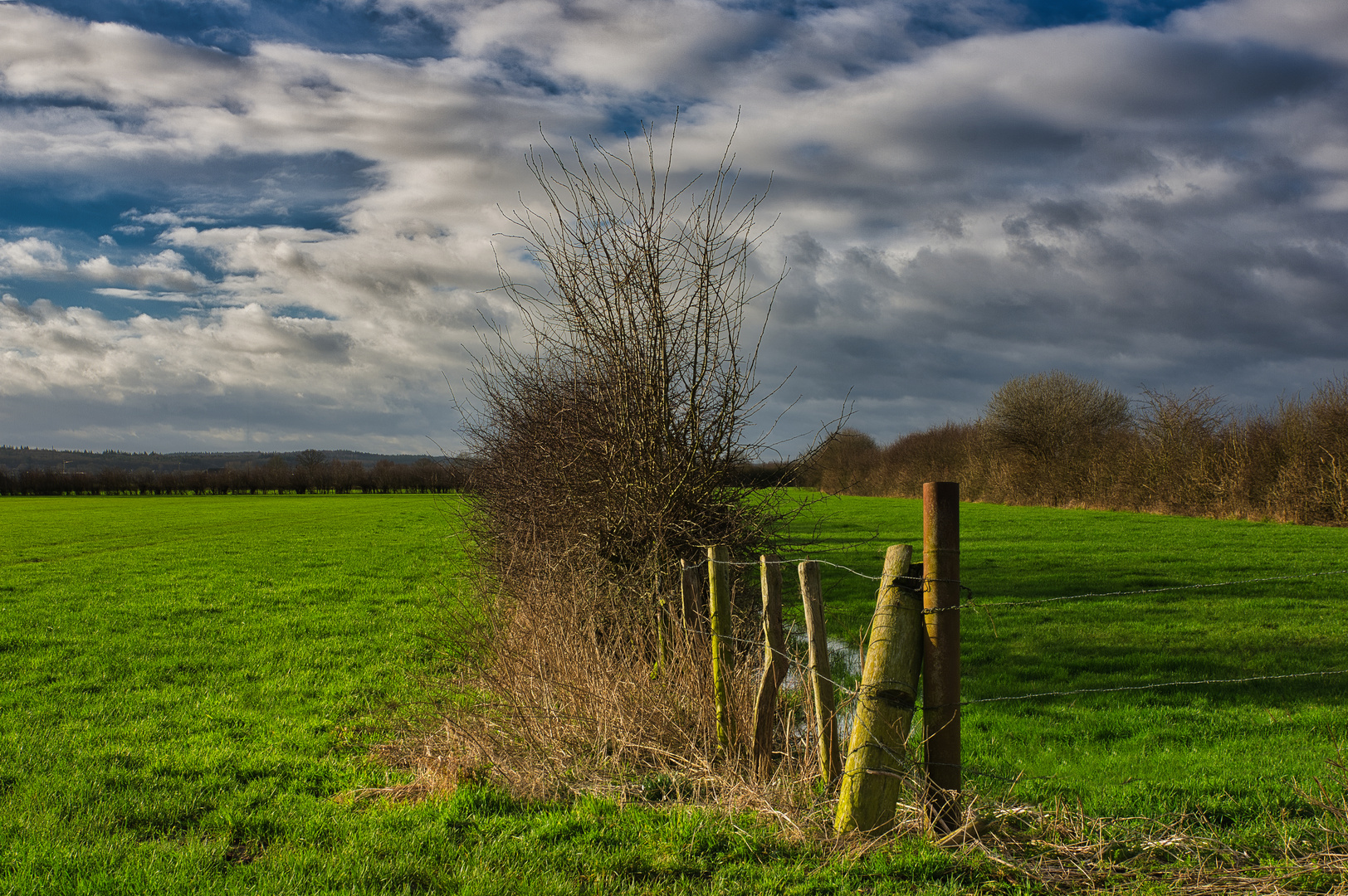 Ausblick