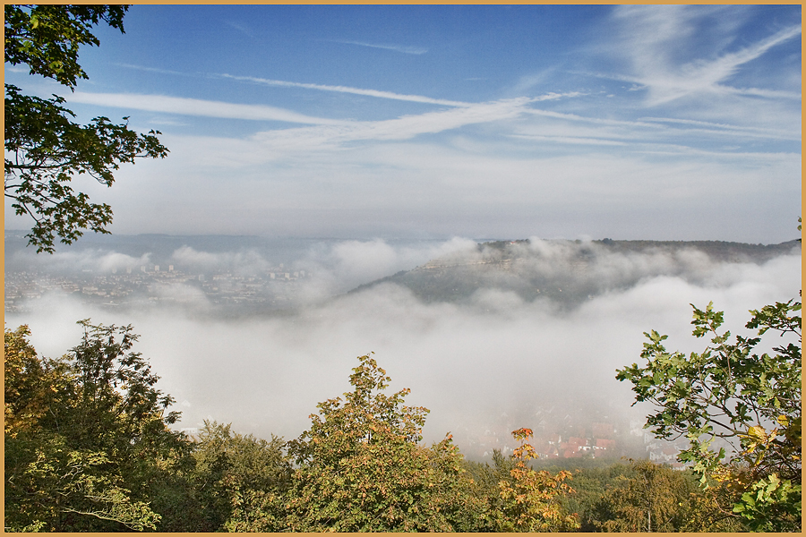 Ausblick